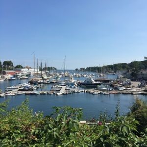 Meet your Posher, Jerrilyn